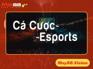 Cá cược Esport May88 đang hot nhất hiện nay